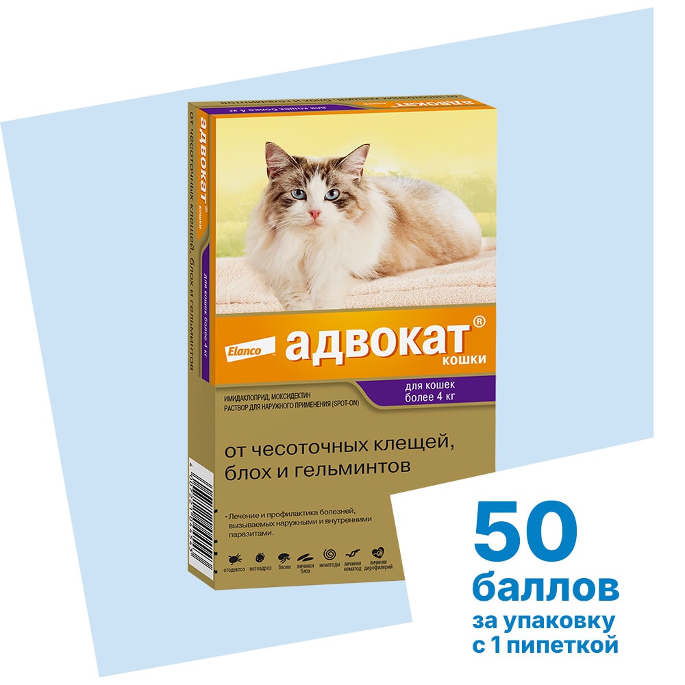 Адвокат®
